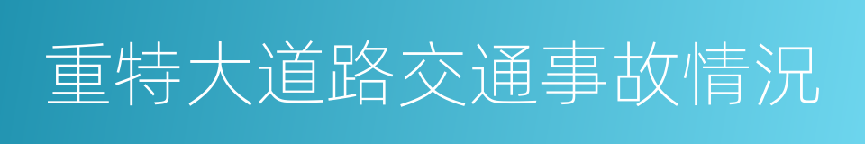 重特大道路交通事故情況的同義詞