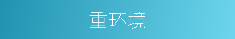 重环境的同义词