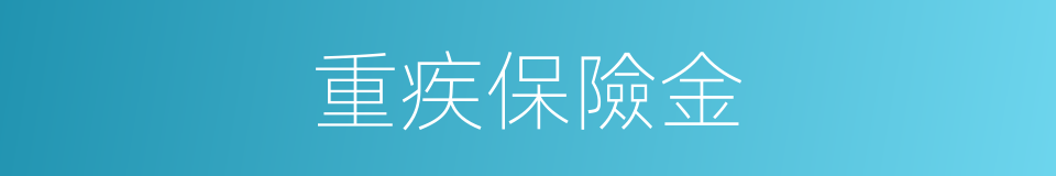重疾保險金的同義詞