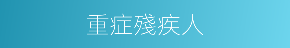 重症殘疾人的同義詞