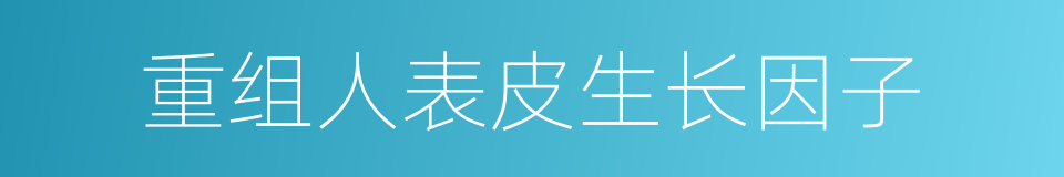 重组人表皮生长因子的同义词