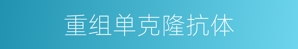重组单克隆抗体的同义词