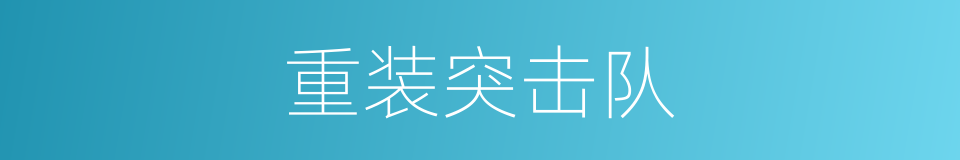 重装突击队的同义词