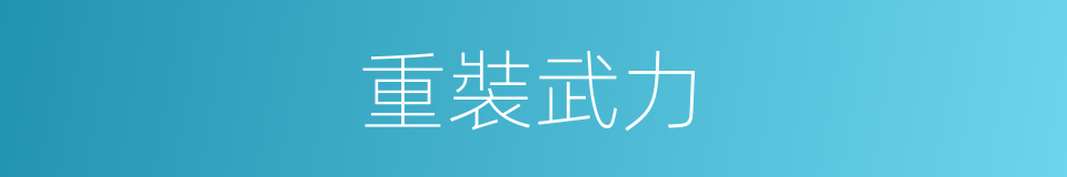 重裝武力的同義詞