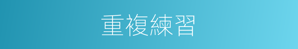 重複練習的同義詞