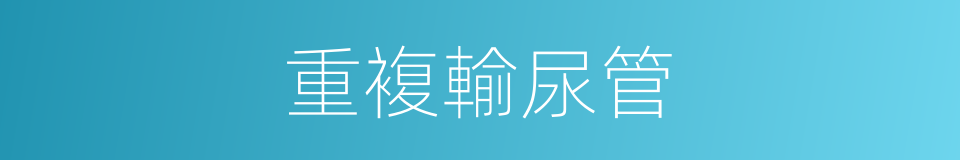 重複輸尿管的同義詞