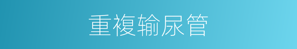 重複输尿管的同义词