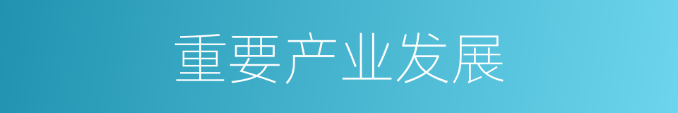 重要产业发展的同义词