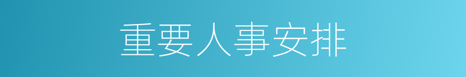 重要人事安排的同义词