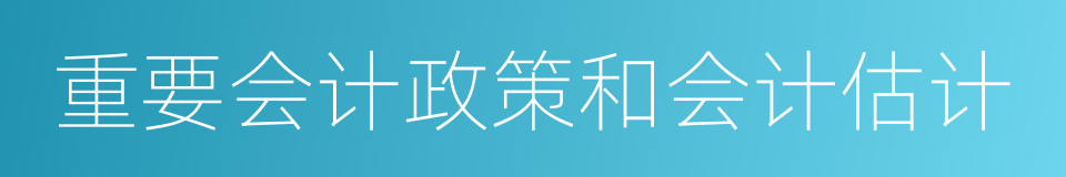 重要会计政策和会计估计的同义词