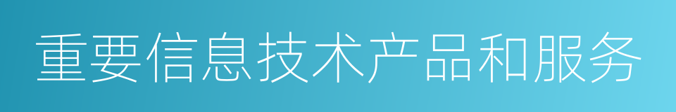 重要信息技术产品和服务的同义词