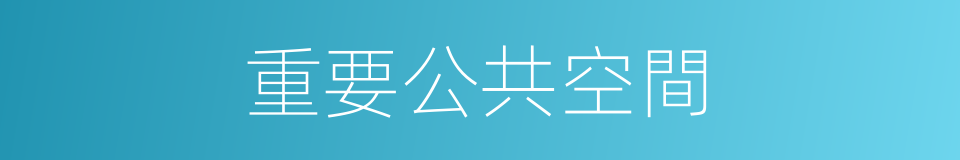 重要公共空間的同義詞