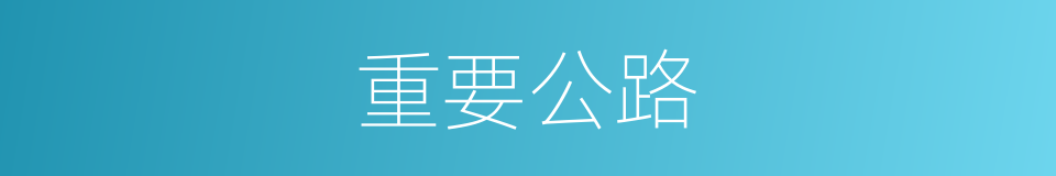 重要公路的同义词