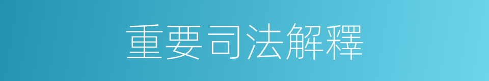 重要司法解釋的同義詞