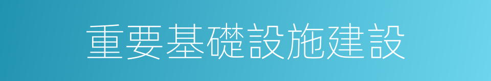 重要基礎設施建設的同義詞