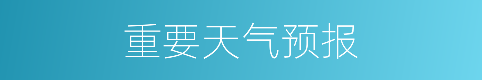 重要天气预报的同义词