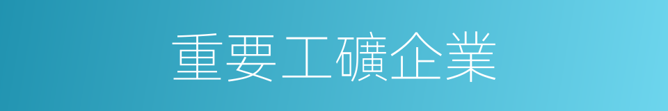 重要工礦企業的同義詞