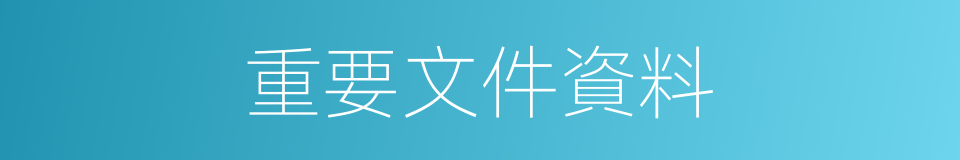 重要文件資料的同義詞