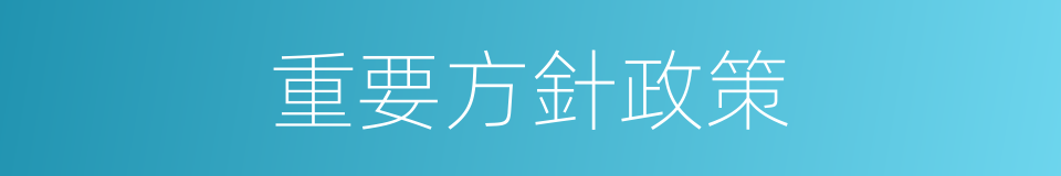 重要方針政策的同義詞