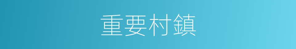 重要村鎮的同義詞