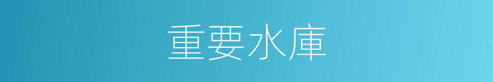 重要水庫的同義詞