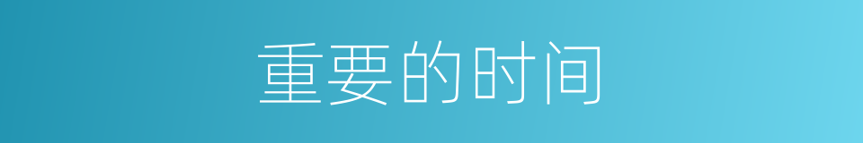 重要的时间的同义词