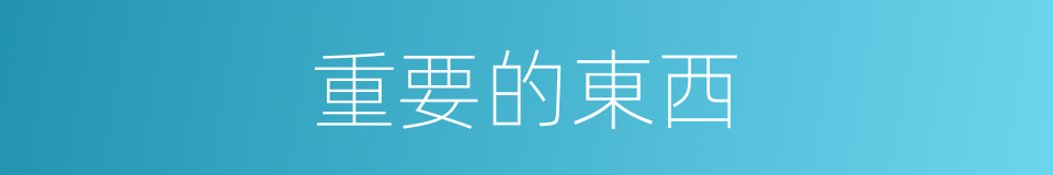 重要的東西的同義詞