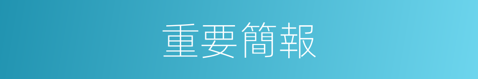 重要簡報的同義詞