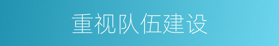 重视队伍建设的同义词