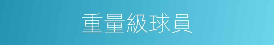 重量級球員的同義詞