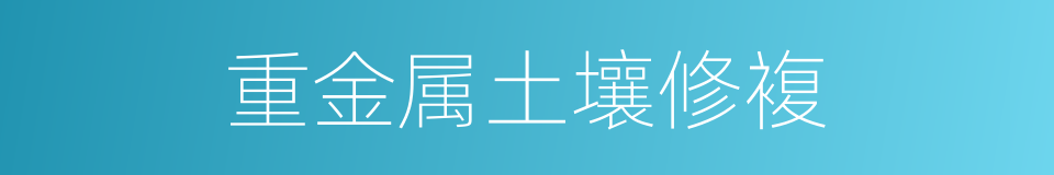 重金属土壤修複的同义词