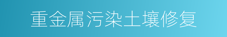 重金属污染土壤修复的同义词