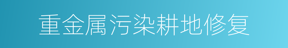 重金属污染耕地修复的同义词