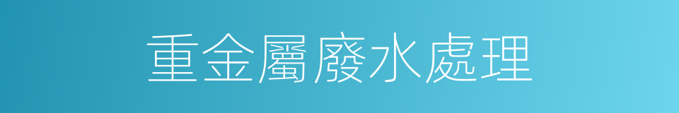 重金屬廢水處理的同義詞