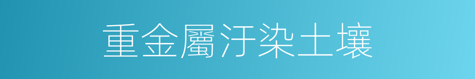 重金屬汙染土壤的同義詞