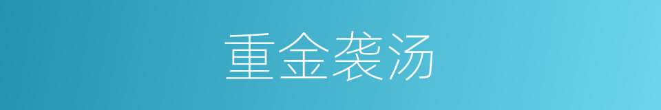 重金袭汤的意思