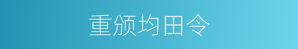 重颁均田令的同义词