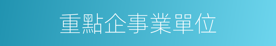 重點企事業單位的同義詞