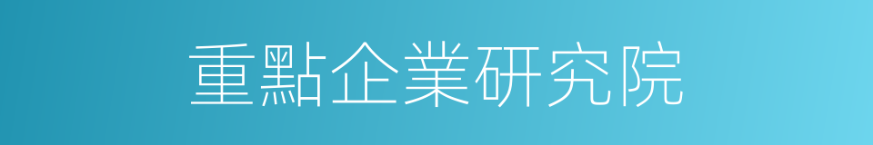 重點企業研究院的同義詞