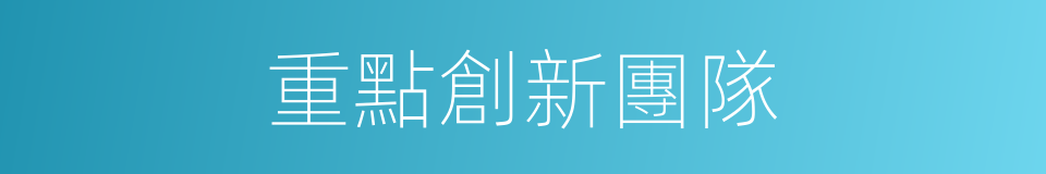 重點創新團隊的同義詞
