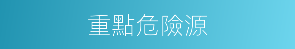 重點危險源的同義詞