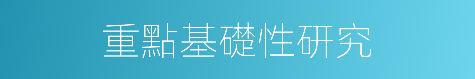 重點基礎性研究的同義詞