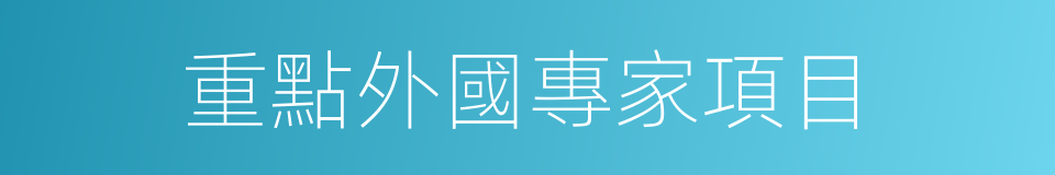 重點外國專家項目的同義詞