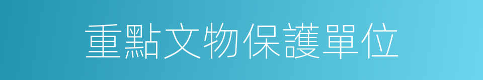 重點文物保護單位的同義詞
