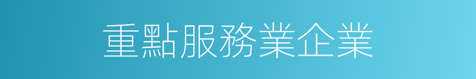 重點服務業企業的同義詞