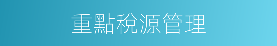 重點稅源管理的同義詞