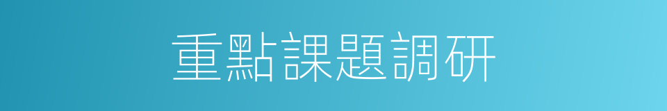 重點課題調研的同義詞