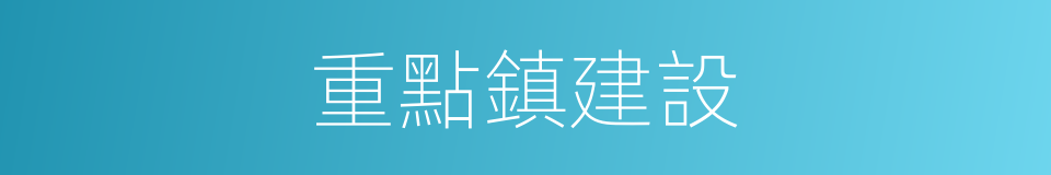 重點鎮建設的同義詞