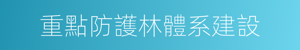 重點防護林體系建設的同義詞