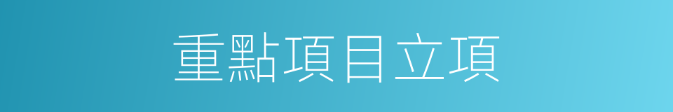 重點項目立項的同義詞